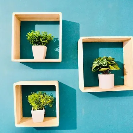 M.a.h 2 Le Calme En Hyper Centre Magnifique Le Havre